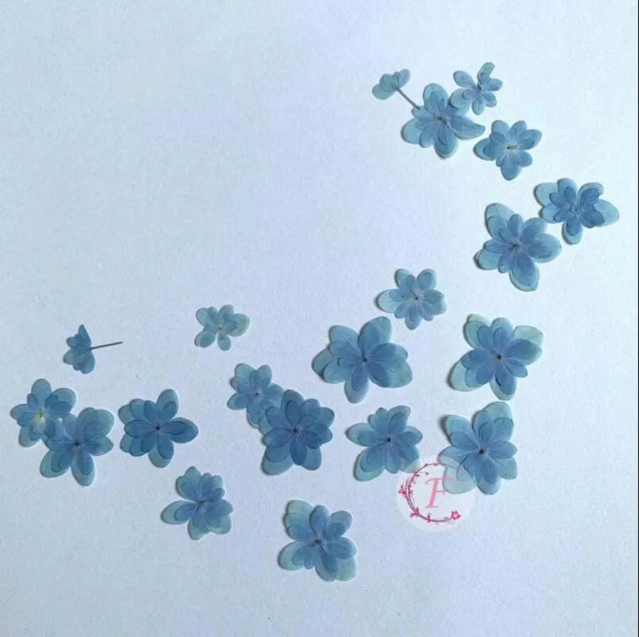 60 шт. синяя фотография несколько лепестков Гортензия цветок ювелирные изделия