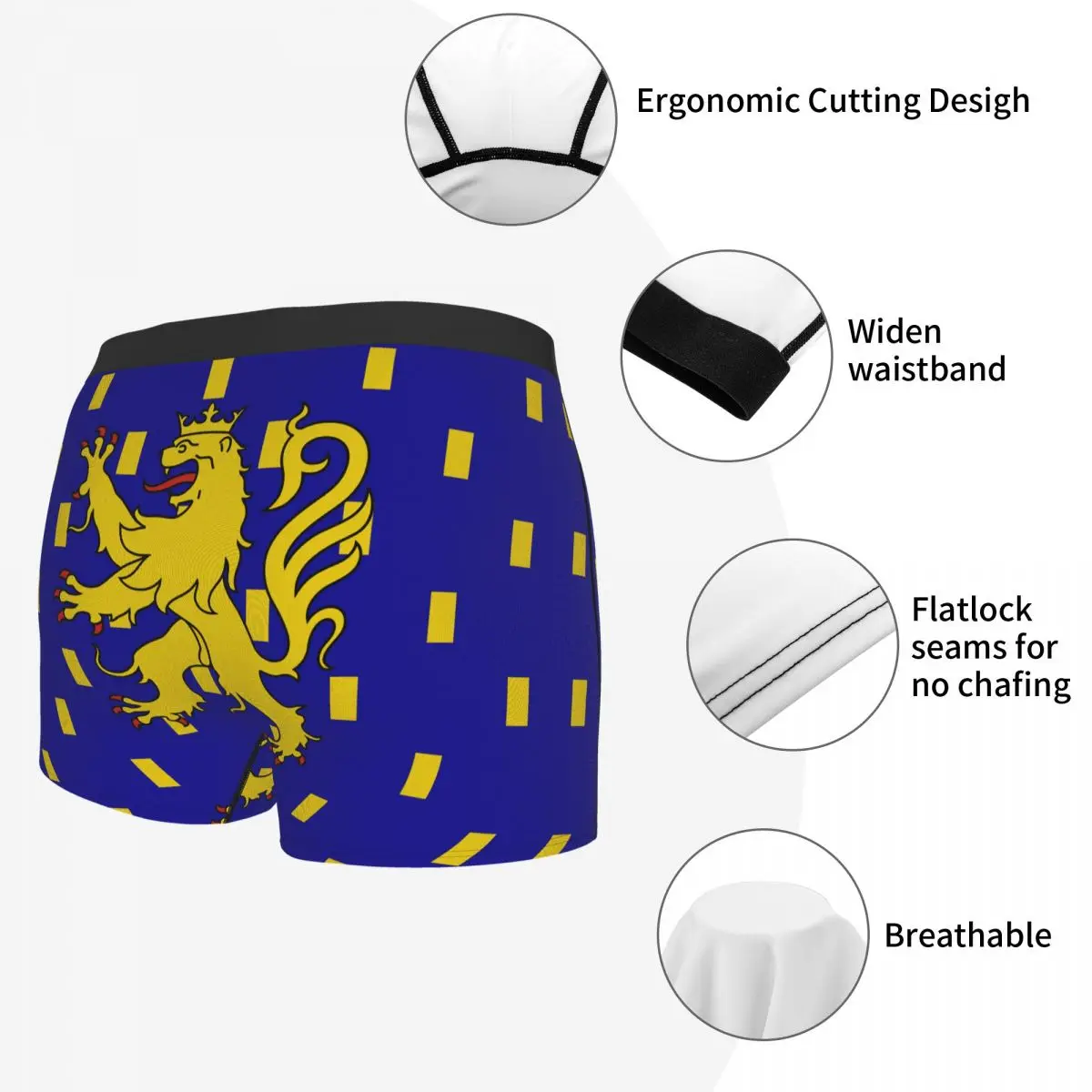 Flag Of Franche-Comté Men's Boxer Briefs Flags of the regions of France Funny Vintage Men's boxer leggings