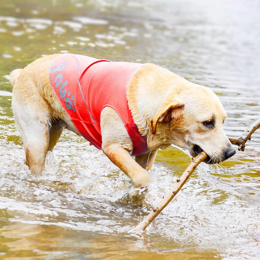 NewPet Cloth Pet Dog Outdoor Summer Breathable Vests Sportswear For Medium/Large Dogs Pets Sport Clothes S/M/L/XL/XXL | Дом и сад