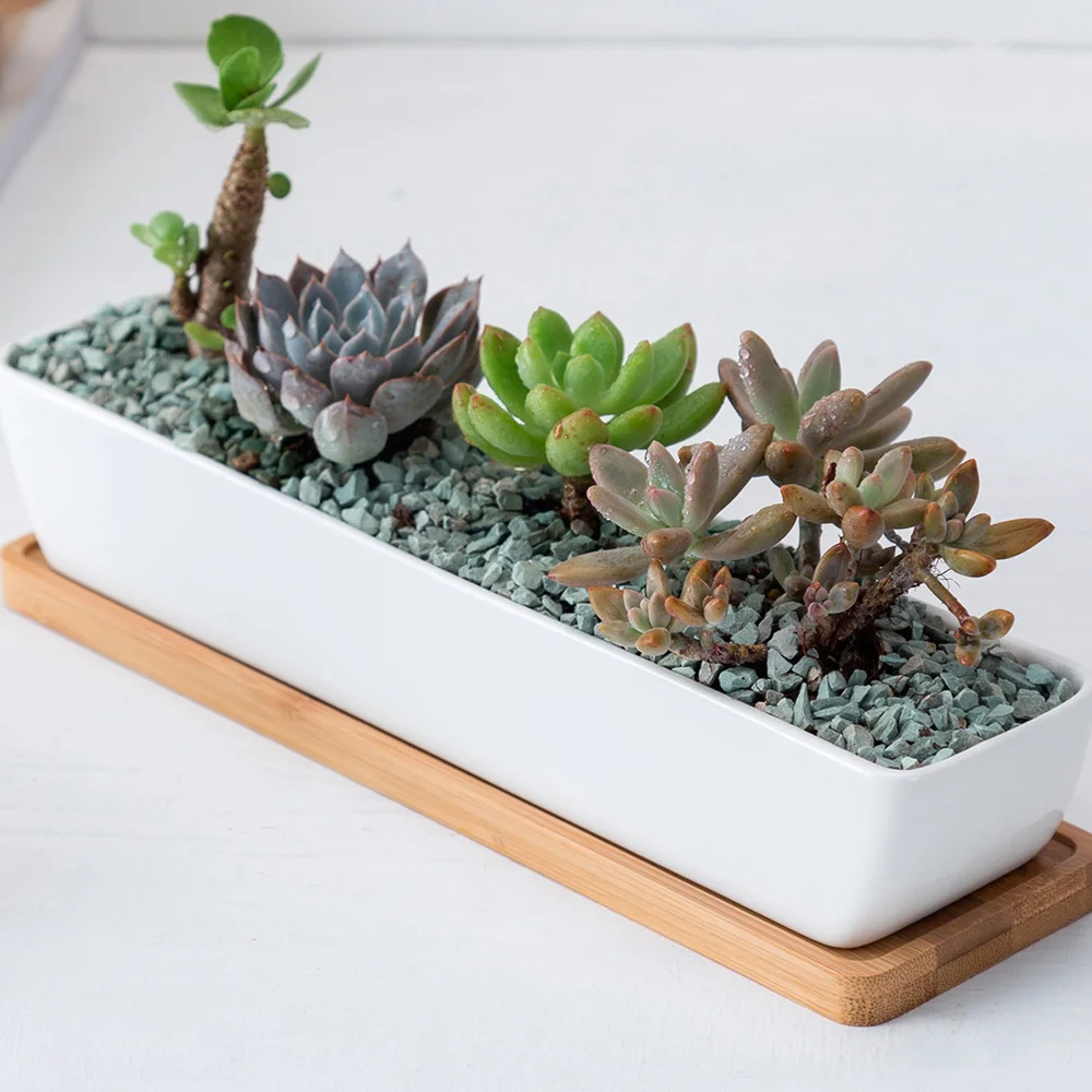 

Rectangular Ceramic Flowerpot with Bamboo Saucer Succulent Gardening Planter