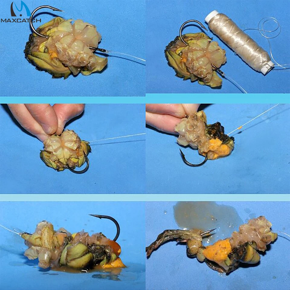 

20pc Bait Elastic Invisible Fishing Line 100/200m 0.2mm/0.25mm Strong Polyester