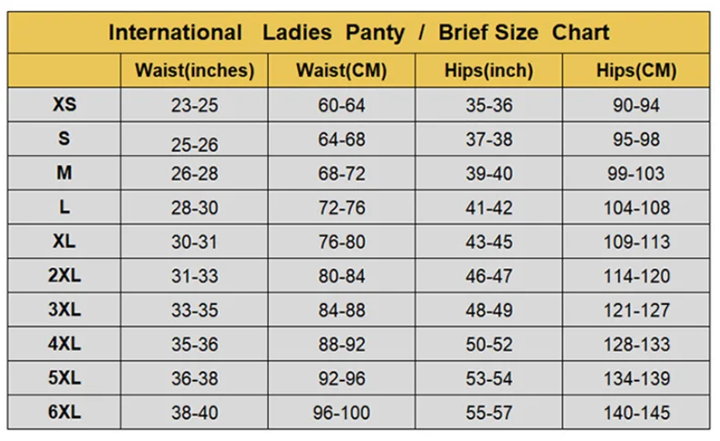 

2pcs Lace Menstrual Panties Period Menstrual Lingerie Breifs Women's Four-layer Leakproof Women Physiological Underwear #012