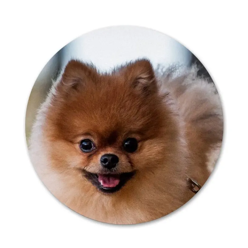 Брошь значок на булавке в виде собаки померанского шпильки аксессуары для одежды