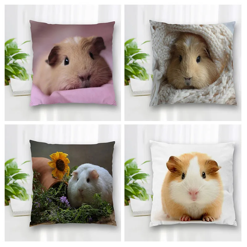 

Декоративная Наволочка на молнии, 20 х20 см, 35 х35 см, 40 х40 см