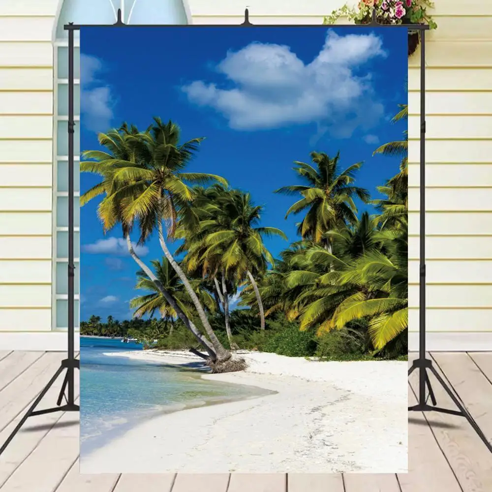

Тропическое растение пляж фотографии пальмы дерево море пляж синее небо облако Праздничная сцена фото фон фотосессия