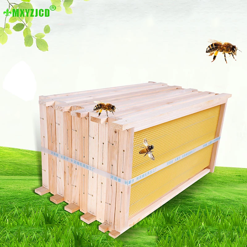 

NEW 5PCS Bee Finished Nest Box High Quality For Making Nest Frame Beekeeper Equipment Garden Supplies Beekeeping Tools
