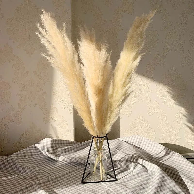 

55cm Pampas Grass Decor Extra Large Natural Dried Flowers Bouquet Wedding Flowers Vintage Style for Home Valentine's Day Gift