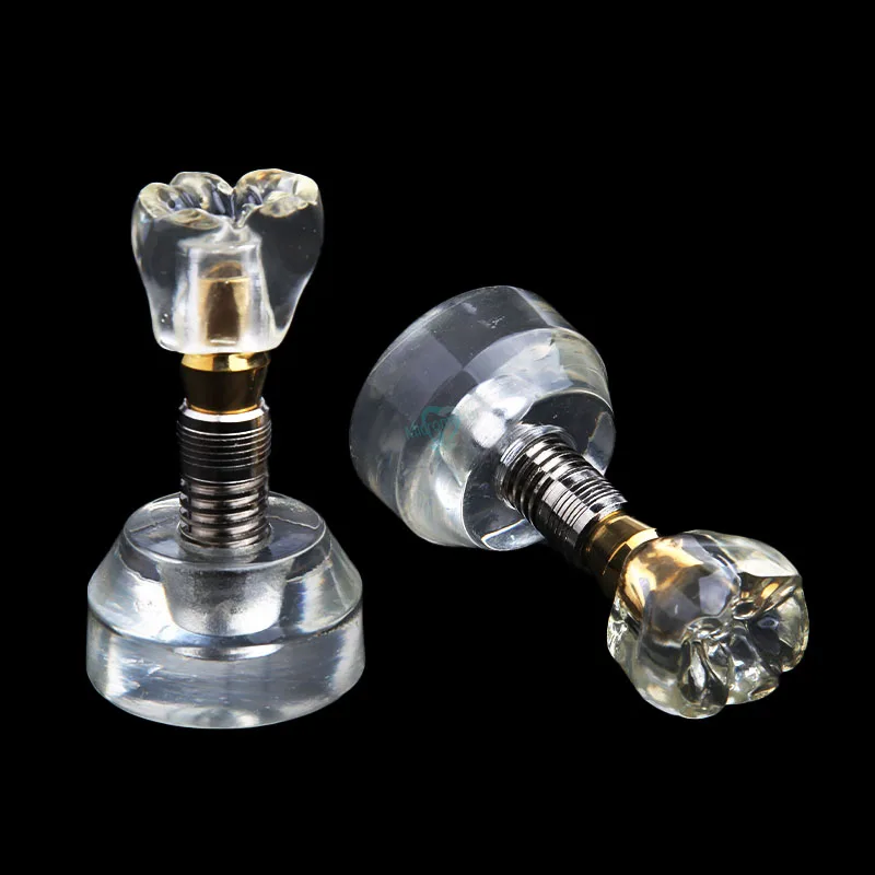 Новая модель зубных имплантатов Arcylic коронок Обучающие модели|Стоматологическая