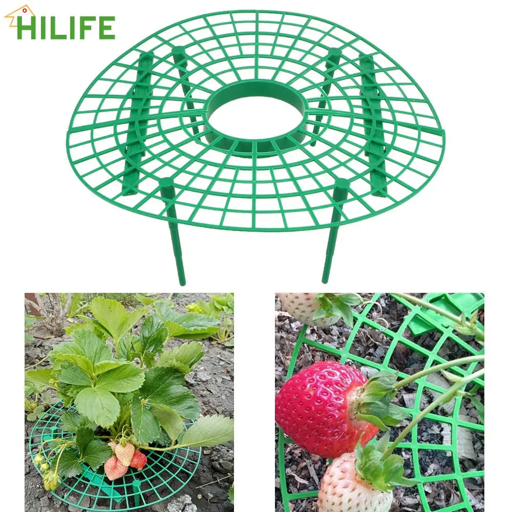 

Fruit Support Plant Flower Climbing Vine Pillar 5pcs/set Plant Tray Rack Plastic Strawberry Growing Support Stand