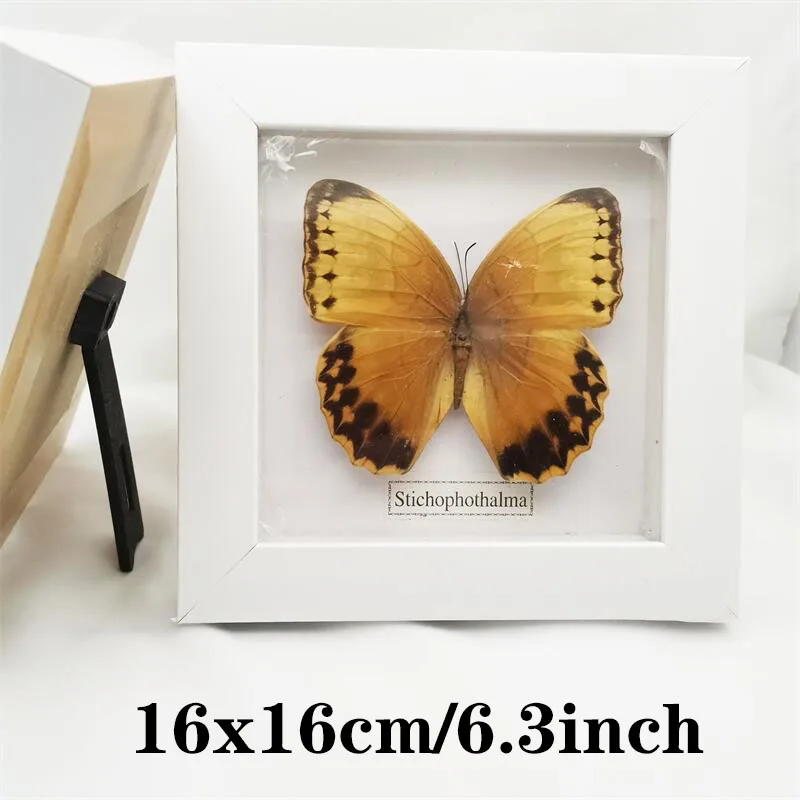 Fixed Spread Wings Real Butterfly Specimens Photo Frame Indoor Decoration Home Decorations Insect Sample Figurines Pendulum | Дом и сад