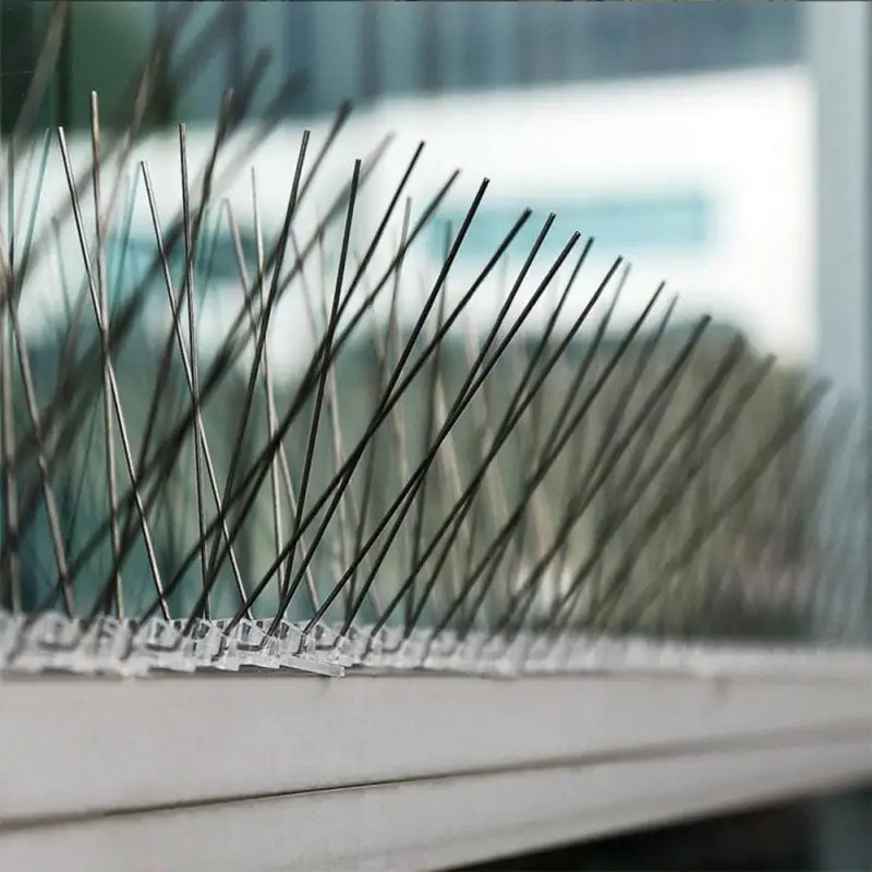 

Bird Spikes Stainless Steel Bird Repellent Spikes Eco Friendly Anti Pigeon Nail Bird Deterrent Tool For Owl Small Birds Fence