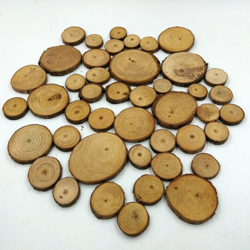 50 штук натуральные выращиваемого на древесном бревне куска дерева шикарные