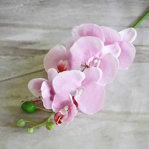 

Artificial Butterfly Orchid Flower 1 Piece Wedding Home Decor Fake Cloth Flower Artificial Flowers Fake Flower Home Decoration