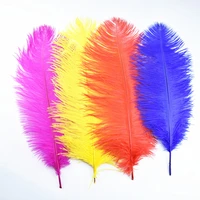 10pcslot ostrich feathers for crafts 20 22 50 55cm white ostrich feather decor wedding decorations feathers plume decoration