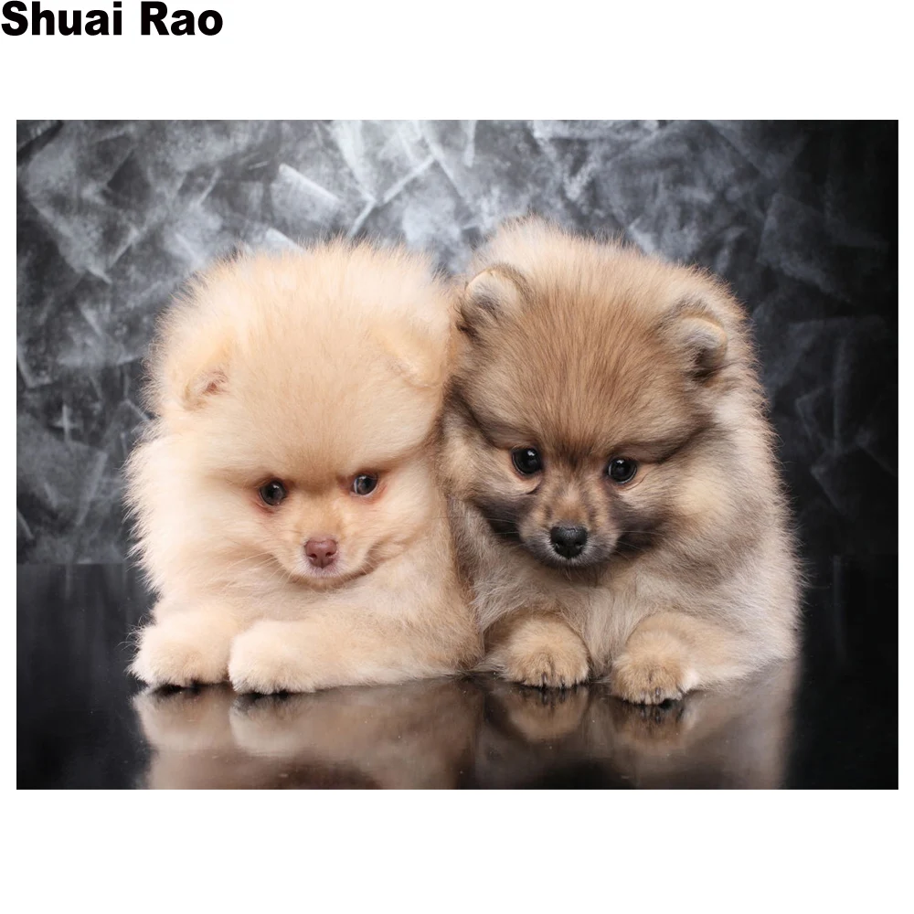 Алмазная мозаика милый Померанский алмазная живопись щенка вышивка крестиком 3D