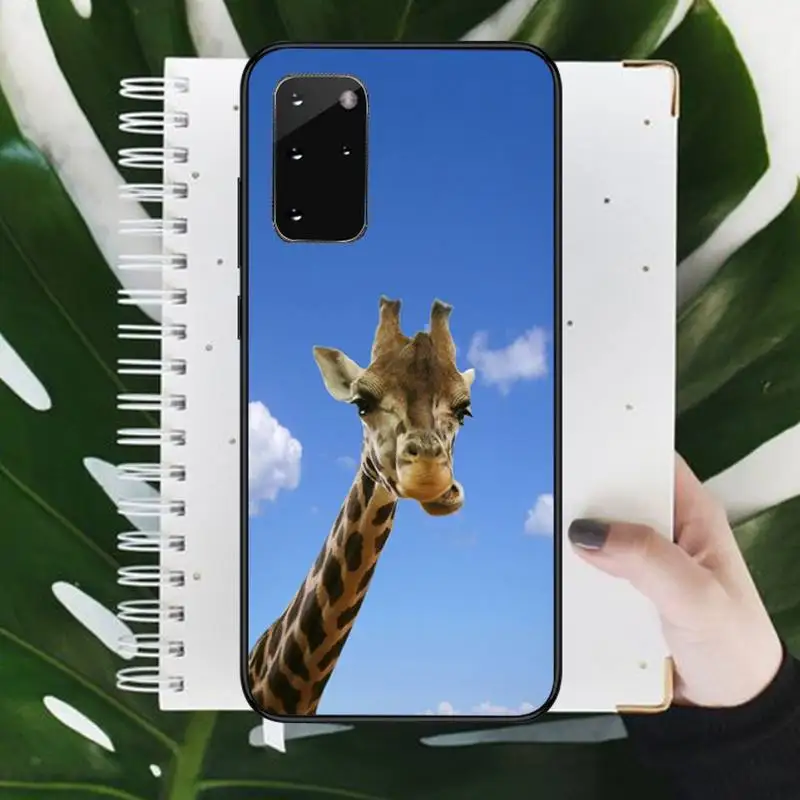 

Giraffe funny funny blue sky grass Phone Case For Samsung galaxy S 7 8 9 10 20 edge A 6 10 20 30 50 51 70 note 10 plus