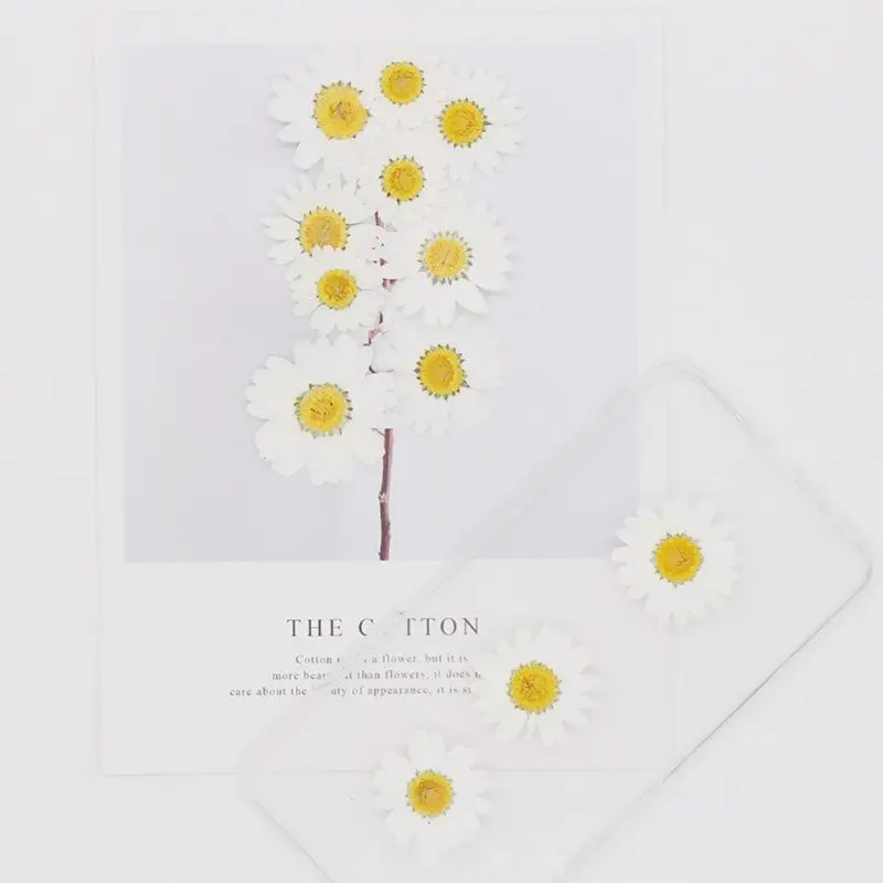 

100 шт сушеные прессованные цветы Маргаритка прессованный цветок для смолы ювелирные изделия художественные поделки