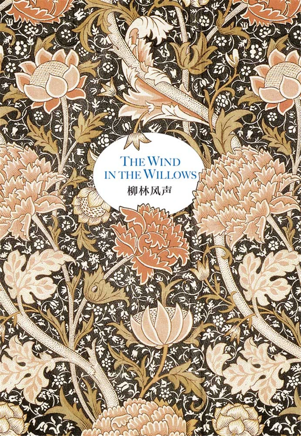 

School & Educational English book The Wind in the Willows (English Original) [THE WIND IN THE WILLOWS]