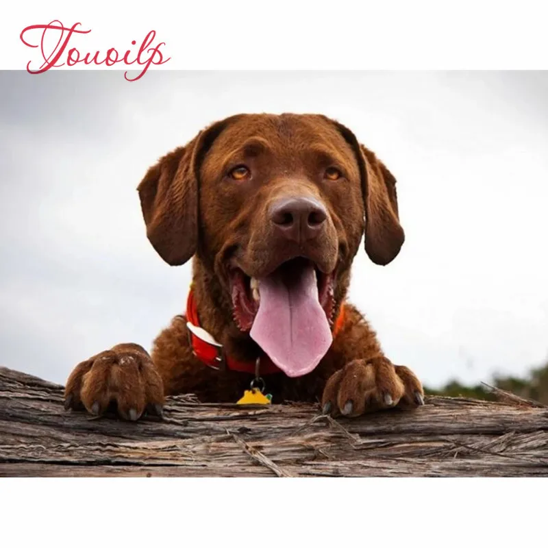 Алмазная вышивка милый лабрадор крестиком алмазная живопись павлин стразы