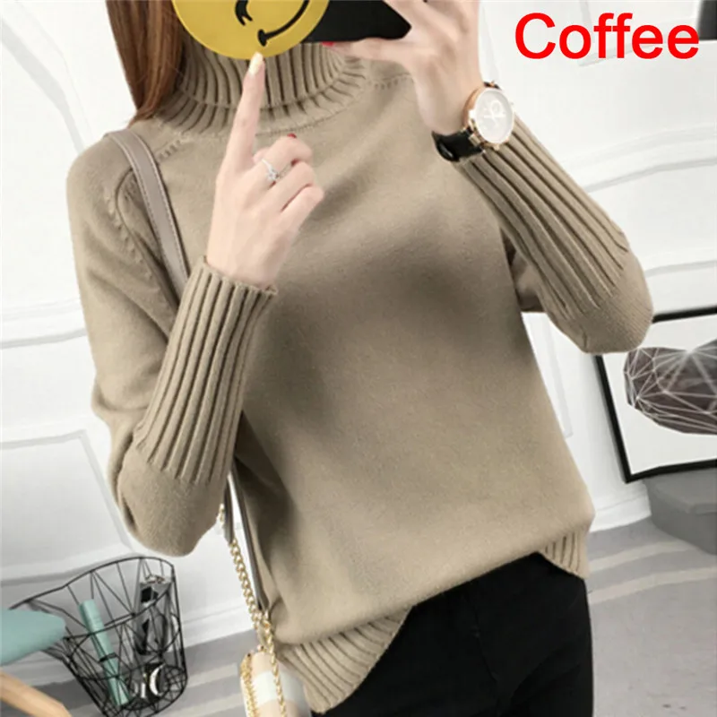 

Autumn Winter Turtleneck Sweater Women Pullover High Elasticity Slim Jumper Basic Female Sweater And Jumper