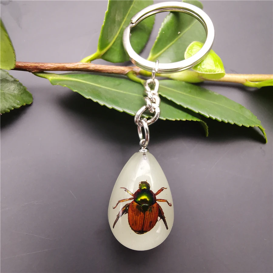 10pcs Scorpion Crab Keychain Glow in the Dark Real Insect Keychain Beetle Keychains for MenKey Ring Specimens Collecting Trinket - Цвет: 19-1YK