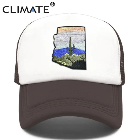 Климатическое состояние Arizon, искусственная пустыня, кактус, сетчатая шапка, Arizon, карта, прицел, крутая шапка, шапка для мужчин, женщин, мужчин, молодежи, детей