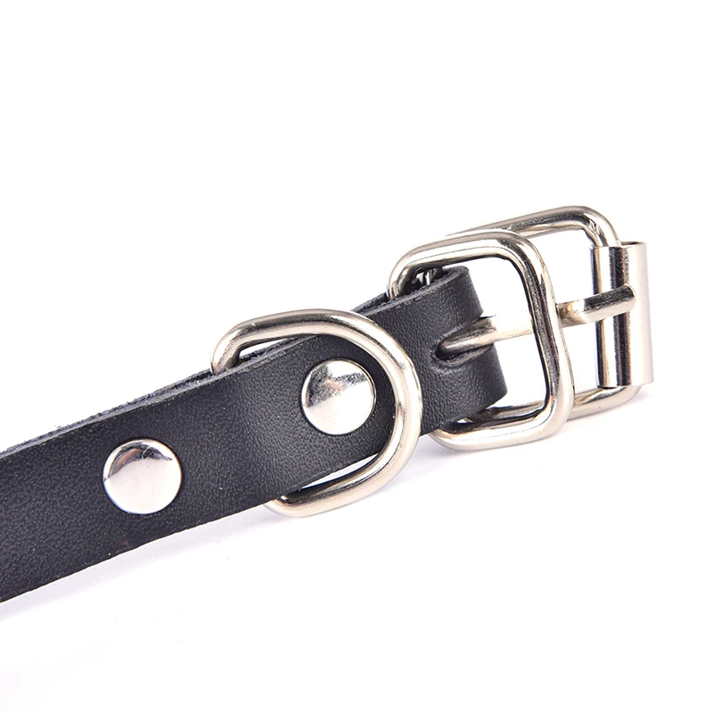 

IP67 Waterproof Pet Collar GSM AGPS Wifi LBS Mini GPS Tracker for Pets Tracking E7CA