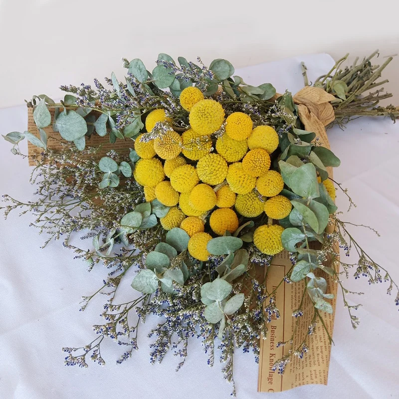 

1 Bunch Natural Dried Flower Golden Orb Eucalyptus Leaves Bouquet DIY Home Wedding Party Home Decoration Preserved Dry Flower