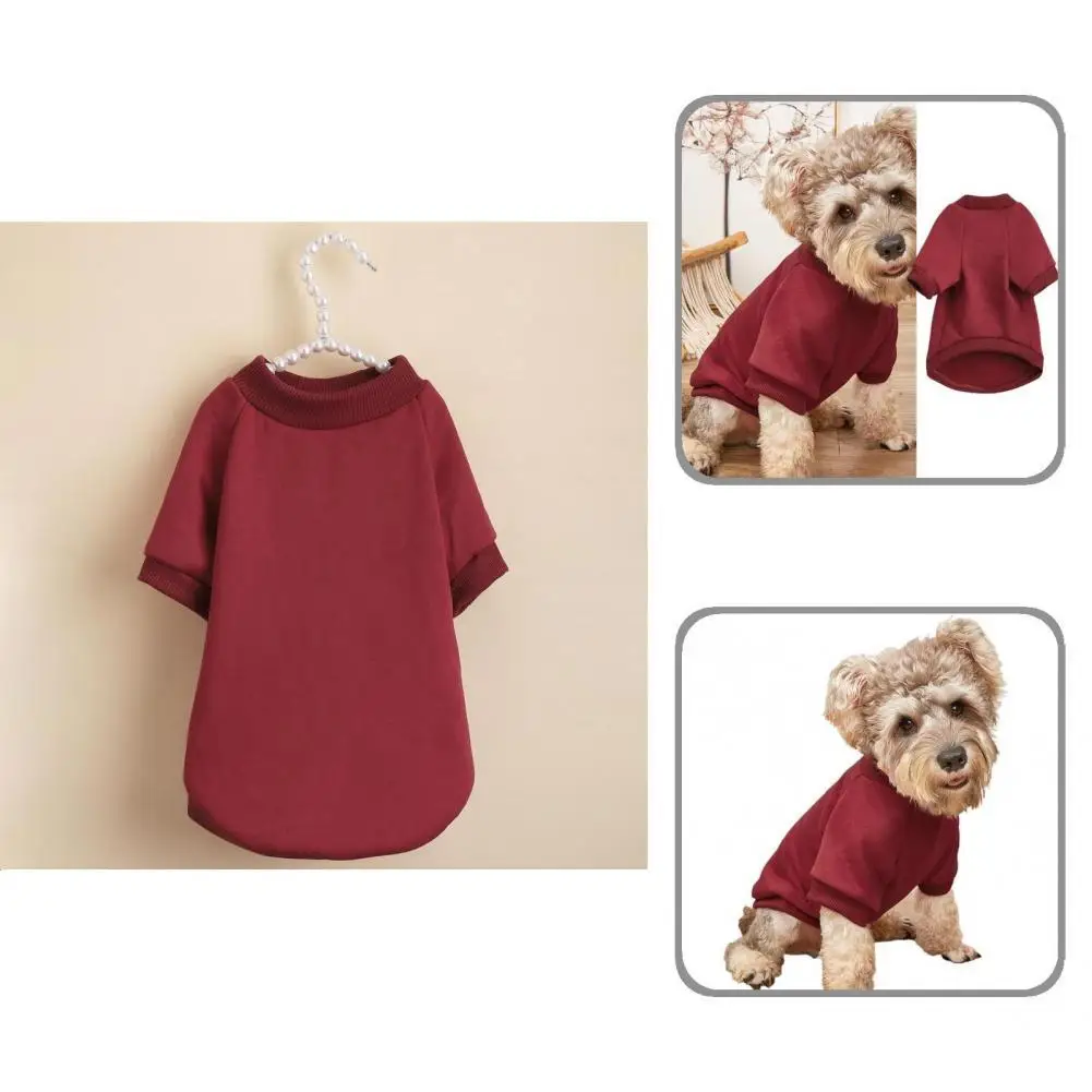 

Eye-catching Polyester Practical Windproof Dog Apparel Pet Supplies