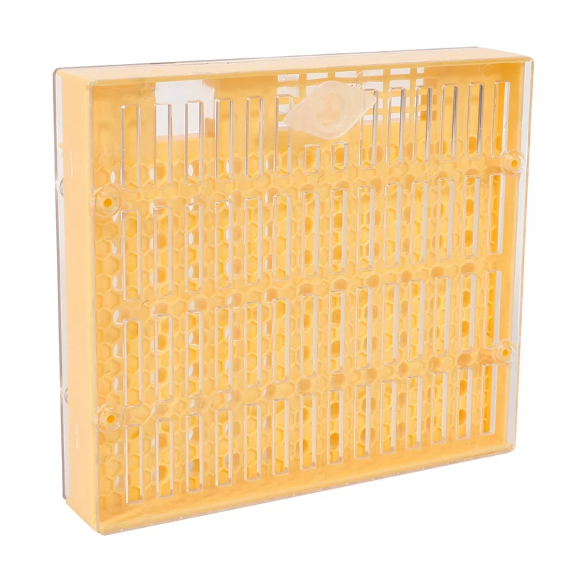 

Лидер продаж, пчеловодческий стакан, набор для вывода пчелиных маток, система пчеловодства, поставщик пчеловодства, стакан для вывода пчели...