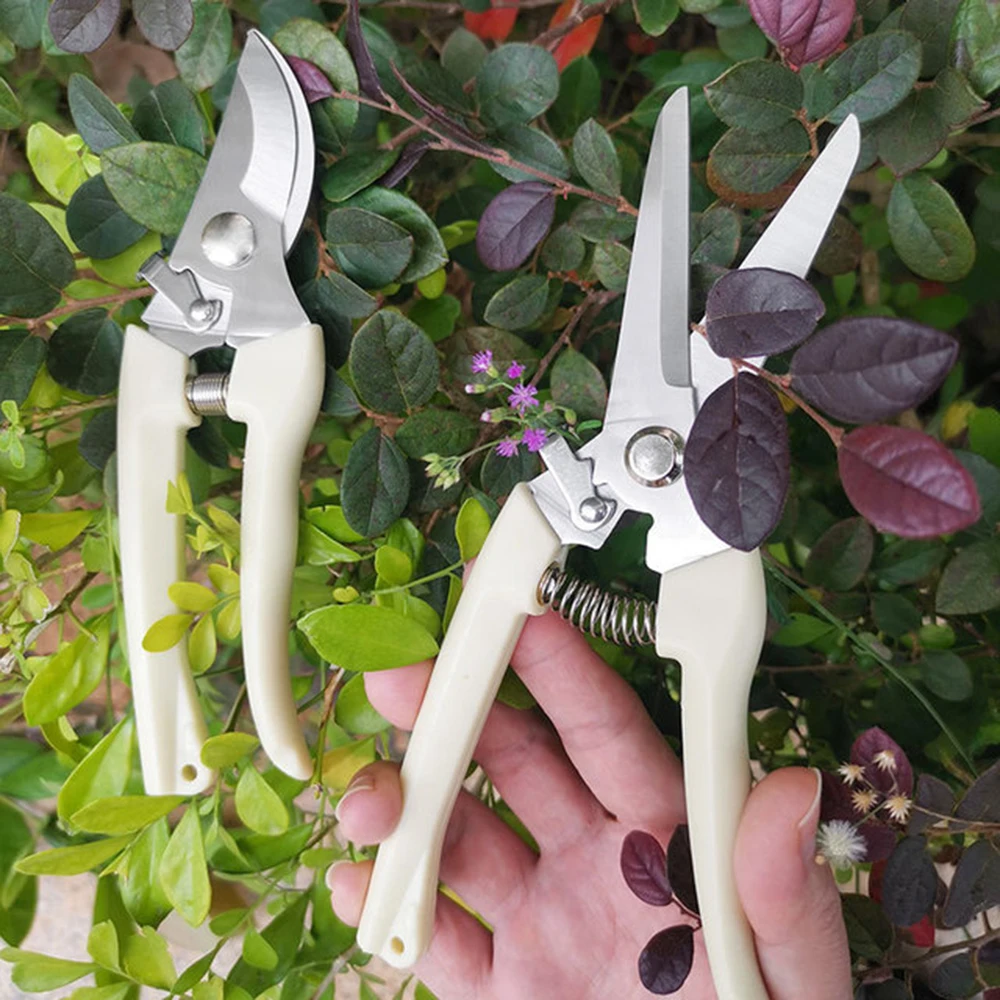 

Pruner Orchard And The Garden Hand Tools Bonsai For Scissors Gardening Machine Chopper Pruning Shears Brush Cutter Professional