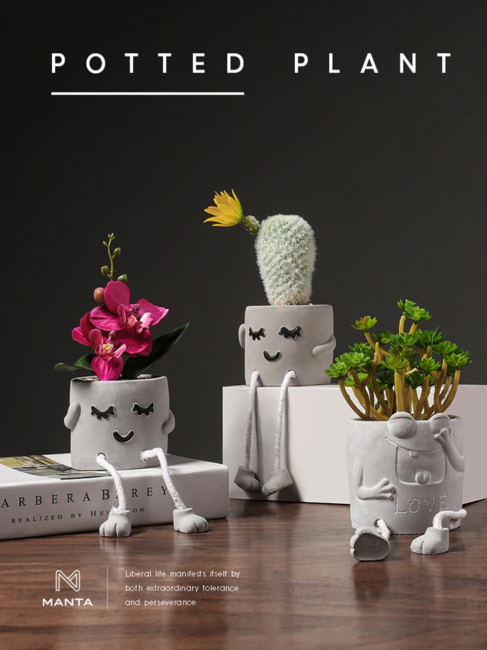 

Creative Nordic Potted Simulate Plants Potted Ornaments Ins Indoor Living Room with Cactus Bonsai Decorations SB-103