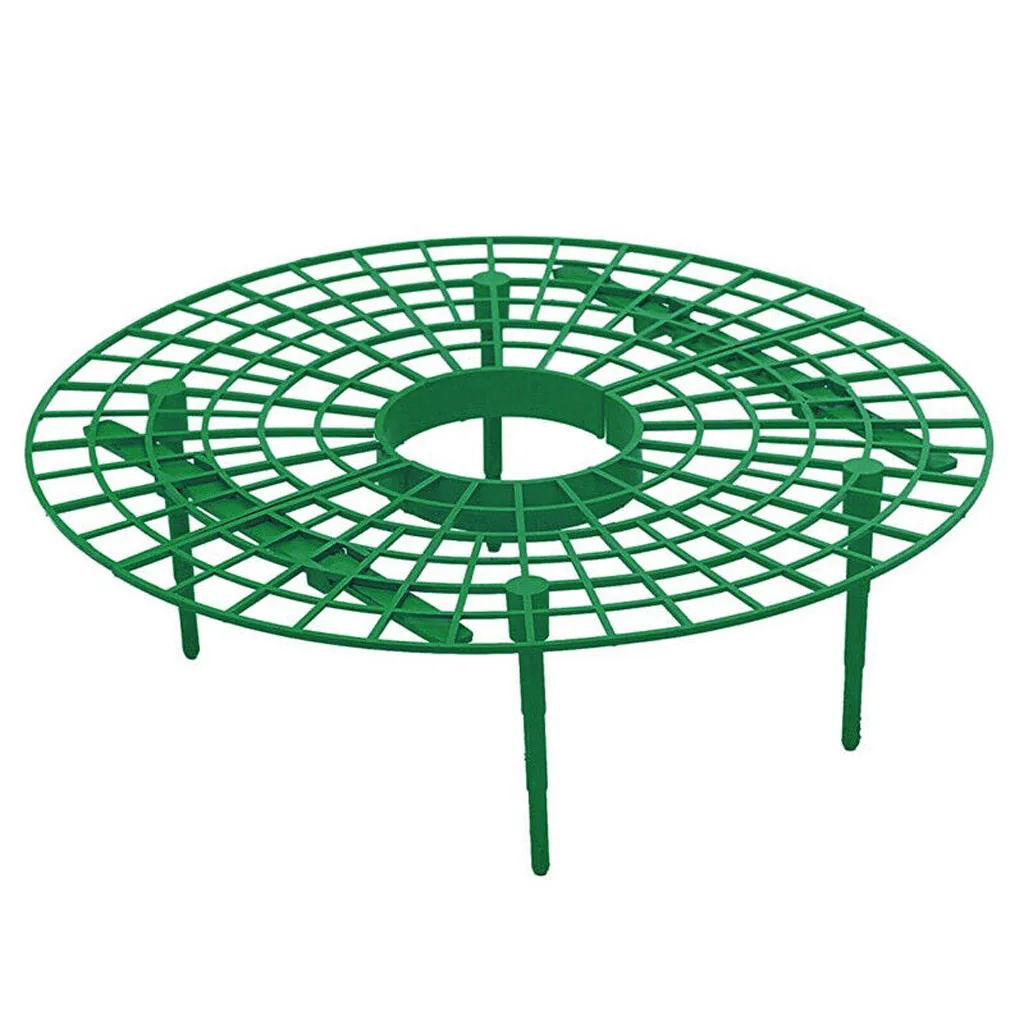 

Strawberry Plant Growing Supports Keep Strawberries In The Rainy Days Plastic Plant Growing Circle Support Rack Removable #751