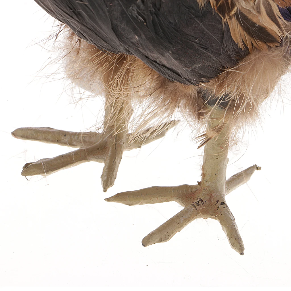 

Lifelike Hen Model Realistic Chicken Statue Realistic Feather