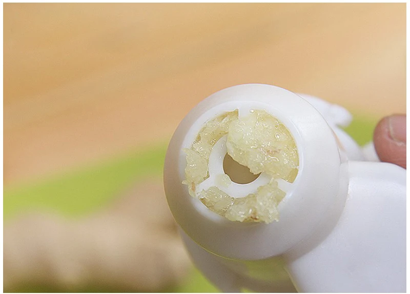 Creative Rubbing Garlic Ginger Shredder Simple Convenient Cutter Hand Driven Presser Kitchen Minced Tools Accessories |