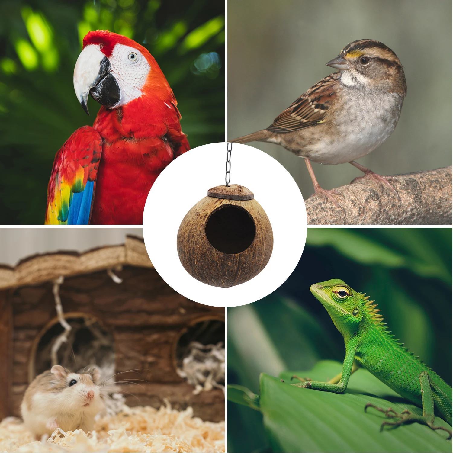 Кокосовая птичья хижина с открывающимся птичьим домиком для маленьких и средних