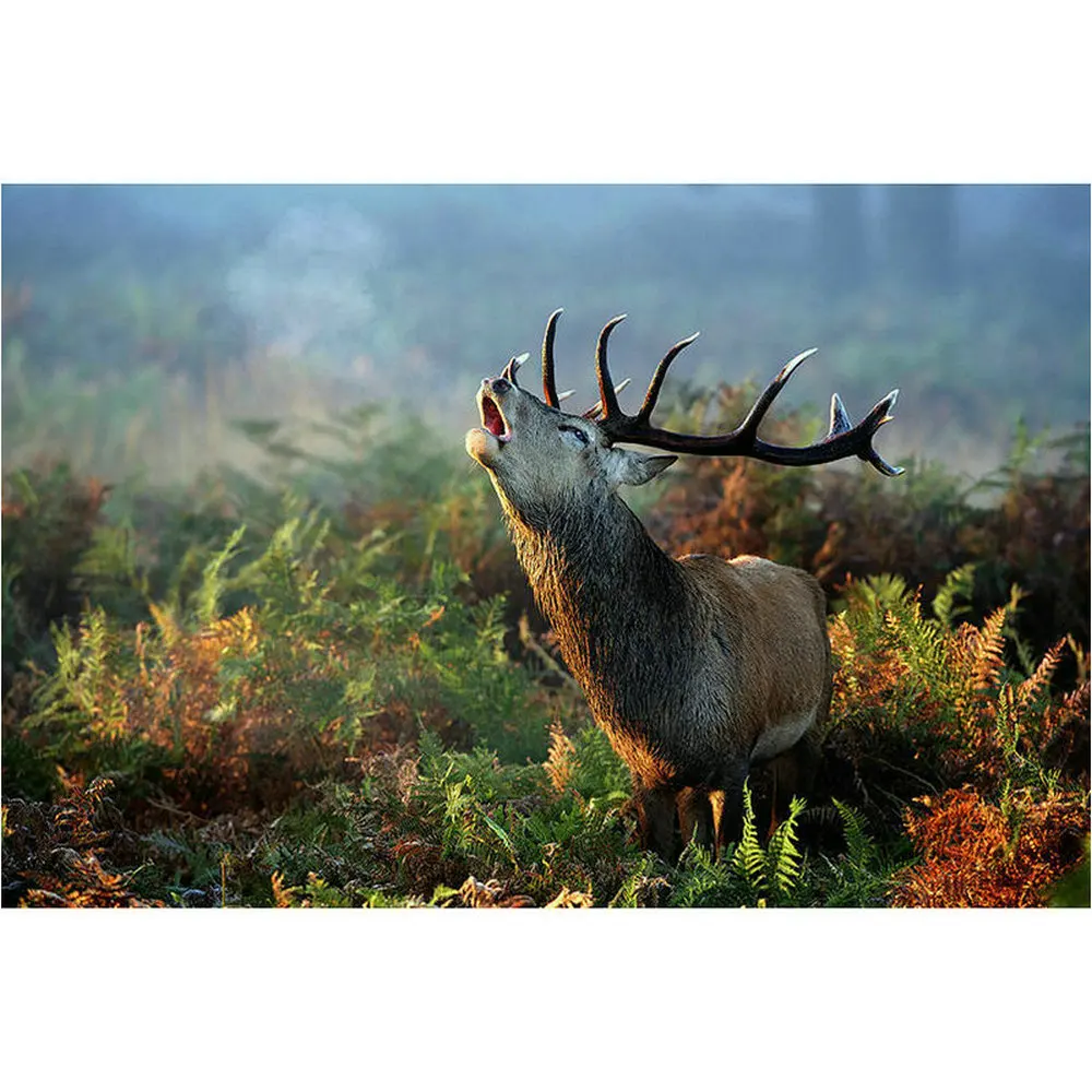 Вышивка крестиком алмазная живопись олень пейзаж полная Алмазная вышивка