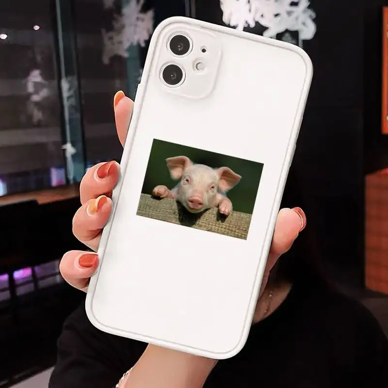 

Cute Little Pink Pet Pig animal Phone Cases matte transparent For iphone 7 8 11 12 plus mini x xs xr pro max cover
