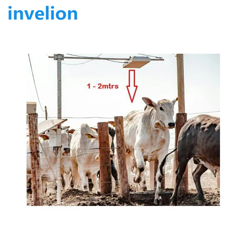 Высокочастотные Ушные бирки для свиней овец животных 865 МГц UHF RFID