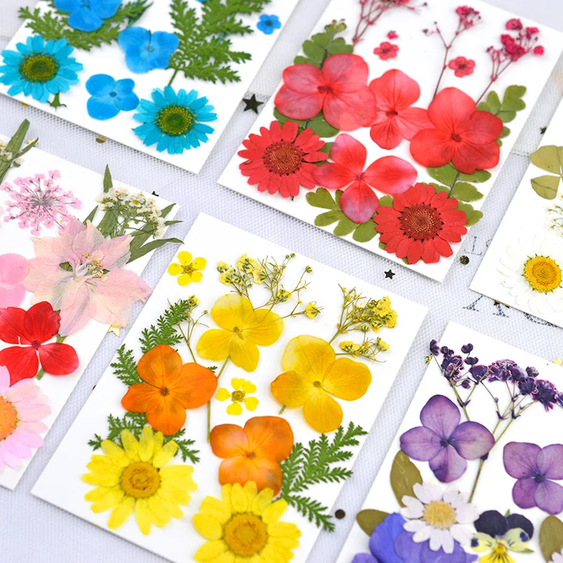 

1 Set Natural Dried Flowers For DIY Epoxy Resin Filling Dry Plants For Jewelry Making Craft DIY Accessories Jewelry Findings