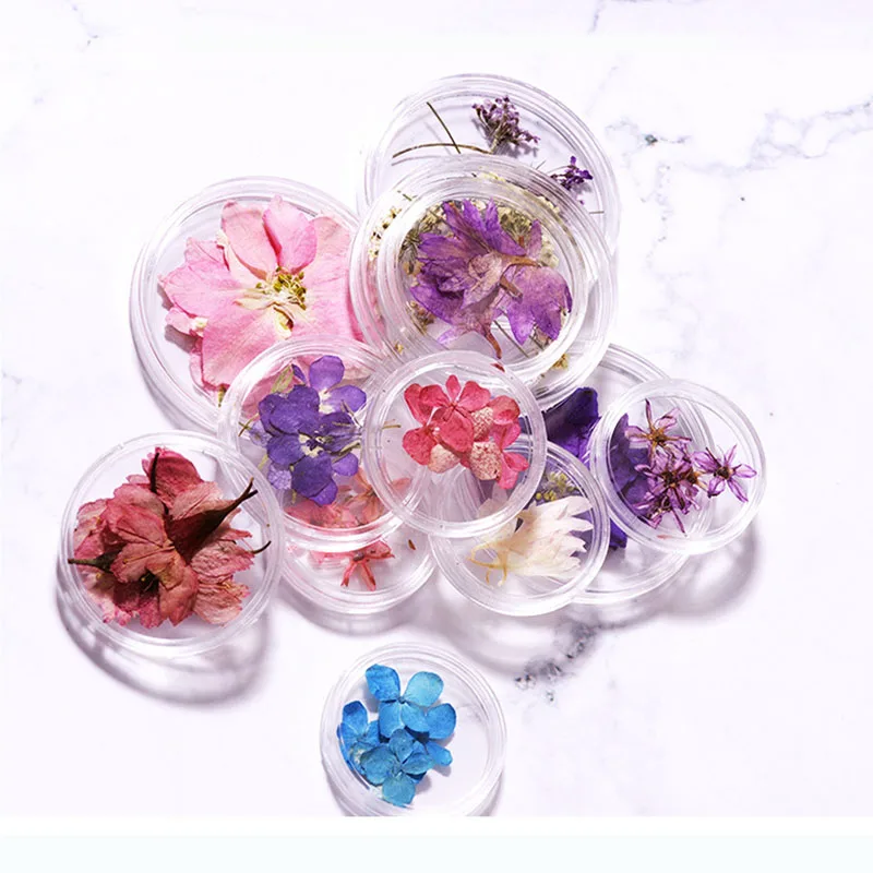 1 коробка цветов для нейл-арта 3D украшения ногтей сушеные цветы листья