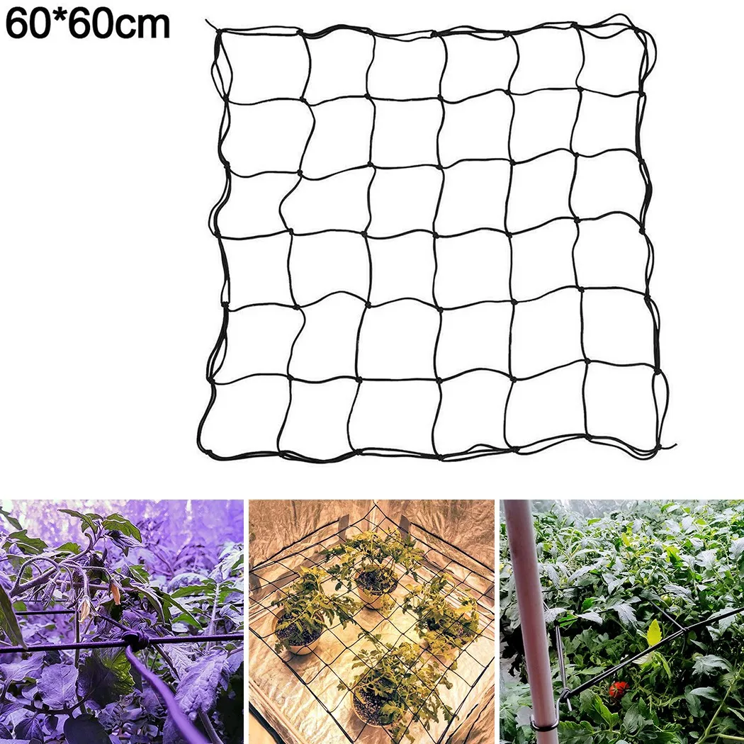 

60 * 60 Cm Wachsen Zelt Elastisches Netz Elastisches Netz Hydroponik Lichtempfang Nachlaufende Trauben