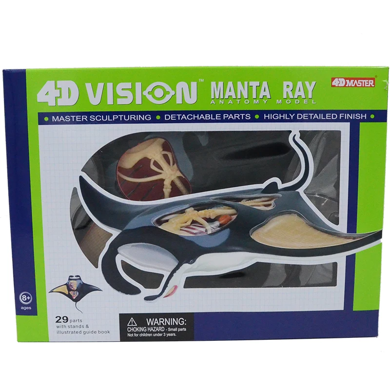 

4d Animal Anatomical Model Manta Ray Anatomy Skeleton DIY Gift Children Toy Sea Fish Museum Used Tool Educational Model