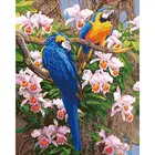 SELILALI Безрамная картина по номерам два попугая животных фото картина по номерам домашний Гостиная настенные украшения Artcrafts