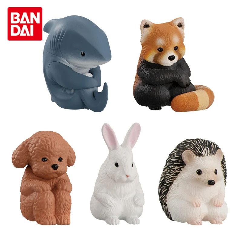 

Bandai Genuine Gashapon Toy Machiboke Figure Animal Doll 2 Raccoon Teddy Shark Rabbit Table Decoration Dolls Hedgehog