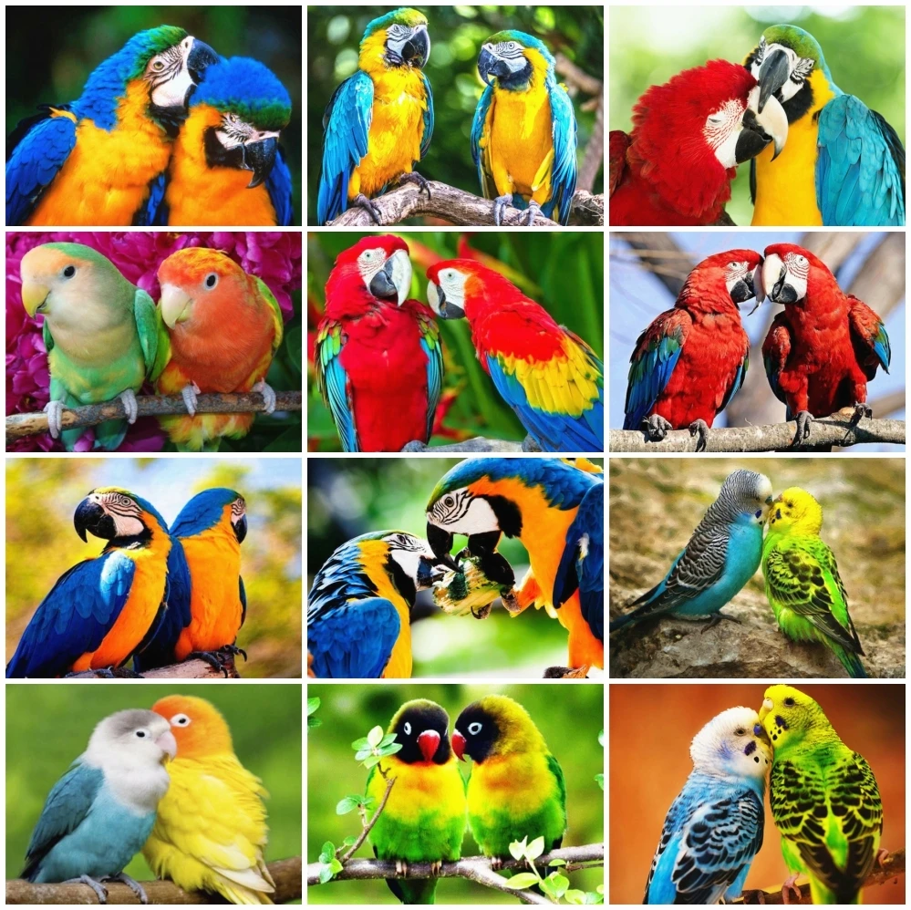 

AZQSD 5D Diamond Painting Bird Full Drill Square Handmade Diamond Embroidery Animals Mosaic Picture Of Rhinestones Home Decor