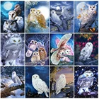 EverShine 5D DIY Алмазная вышивка сова картина Стразы Алмазная картина животное вышивка крестом зимний Настенный декор хобби подарок