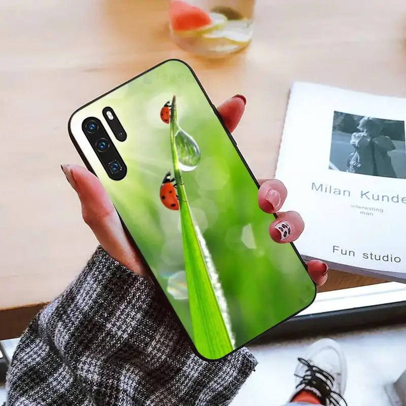 

four leaf ladybug daisy Phone Case For Huawei honor Mate mate P 10 9X 10i 20 30 40 y7 pro p smart 2019 lite
