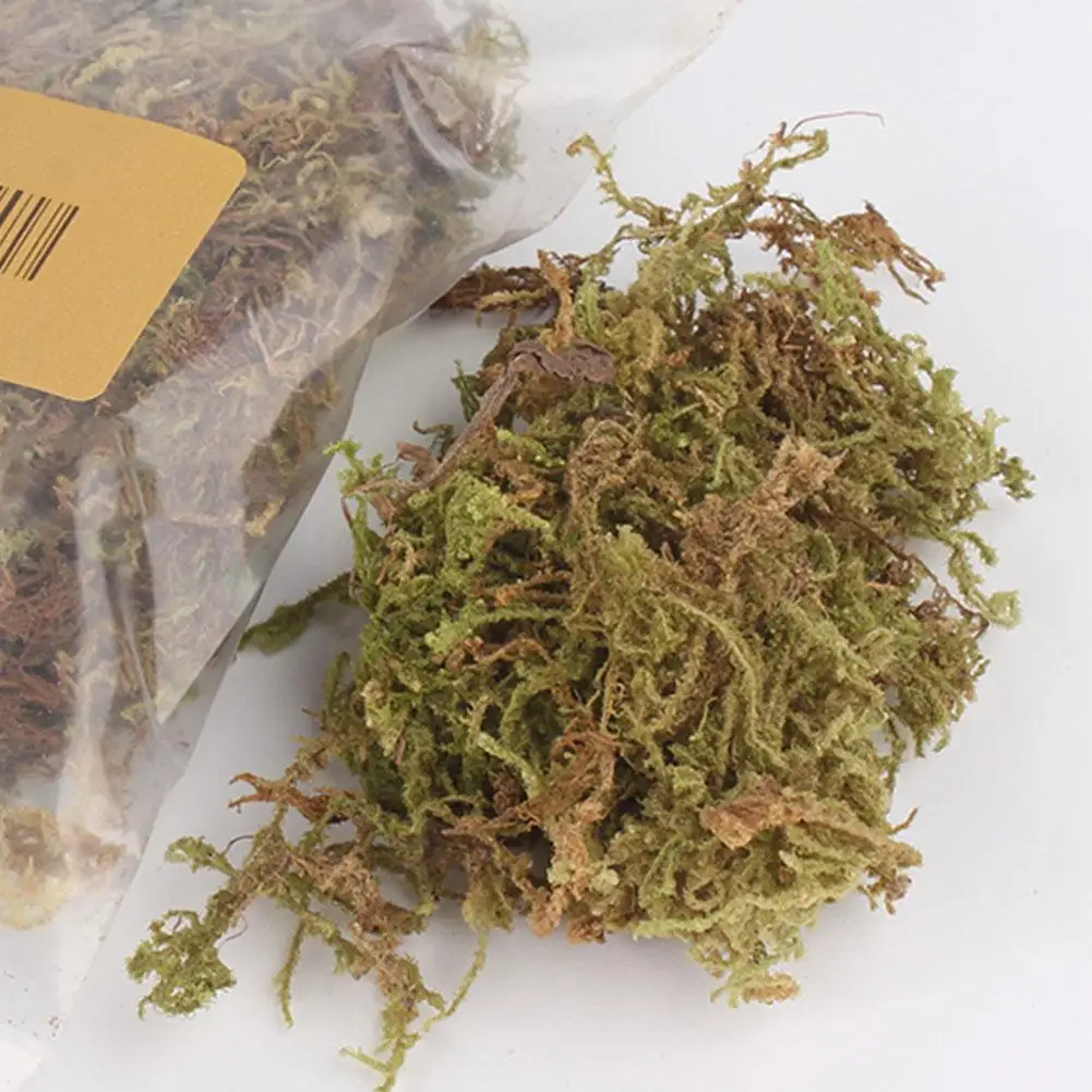 

Miniature Tree Chariot Camouflage Net Military Scene Train Train 150ml Sand Layout Table Vegetation Railway Scenario Model C2B3