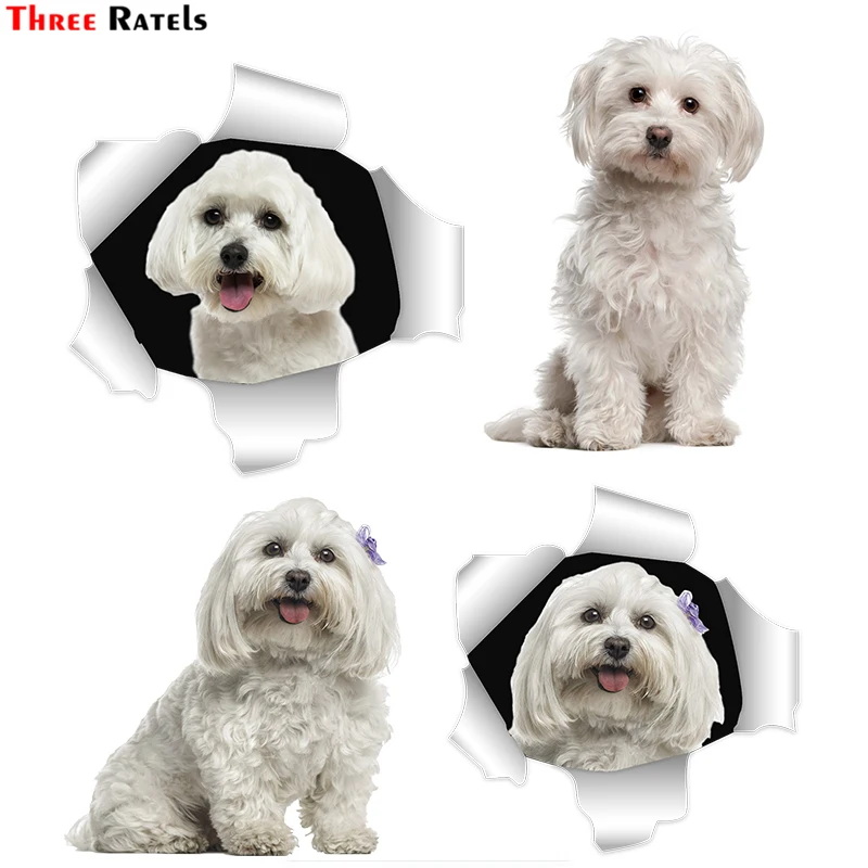 

Three Ratels FC895 Maltese Dog Malta Puppy for opel decal cute stickers custom car sticker Auto accessories &decoration